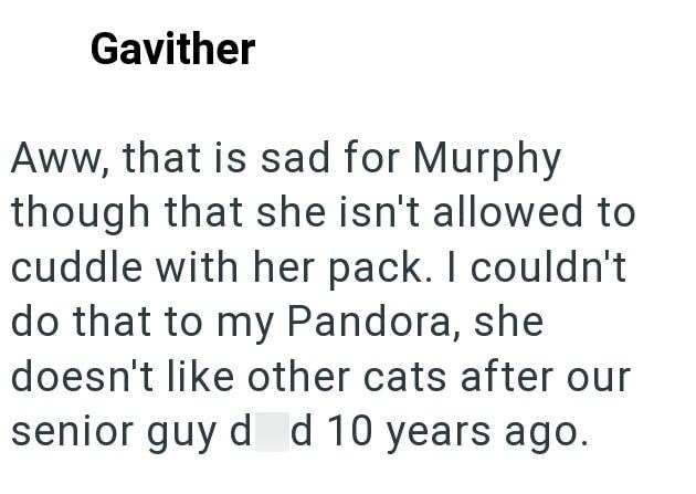 Gavither Aww, that is sad for Murphy though that she isn't allowed to cuddle with her pack. I couldn't do that to my Pandora, she doesn't like other cats after our senior guy d d 10 years ago.