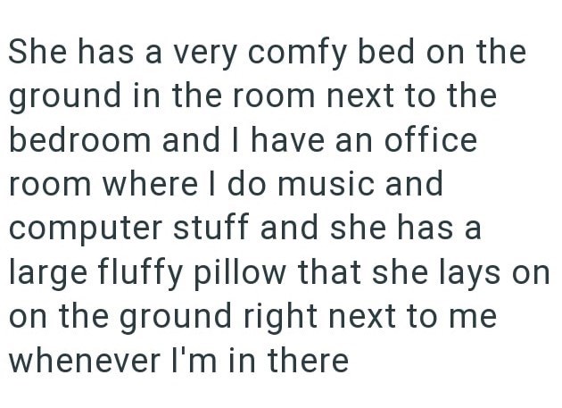 She has a very comfy bed on the ground in the room next to the bedroom and I have an office room where I do music and computer stuff and she has a large fluffy pillow that she lays on on the ground right next to me whenever I'm in there