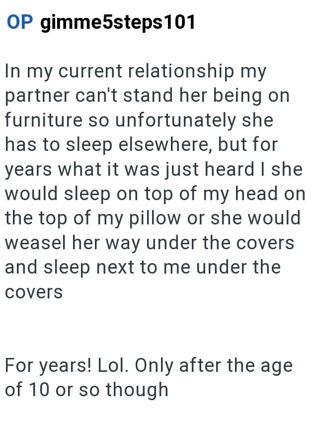 OP gimme5steps101 In my current relationship my partner can't stand her being on furniture so unfortunately she has to sleep elsewhere, but for years what it was just heard I she would sleep on top of my head on the top of my pillow or she would weasel her way under the covers and sleep next to me under the covers For years! Lol. Only after the age of 10 or so though