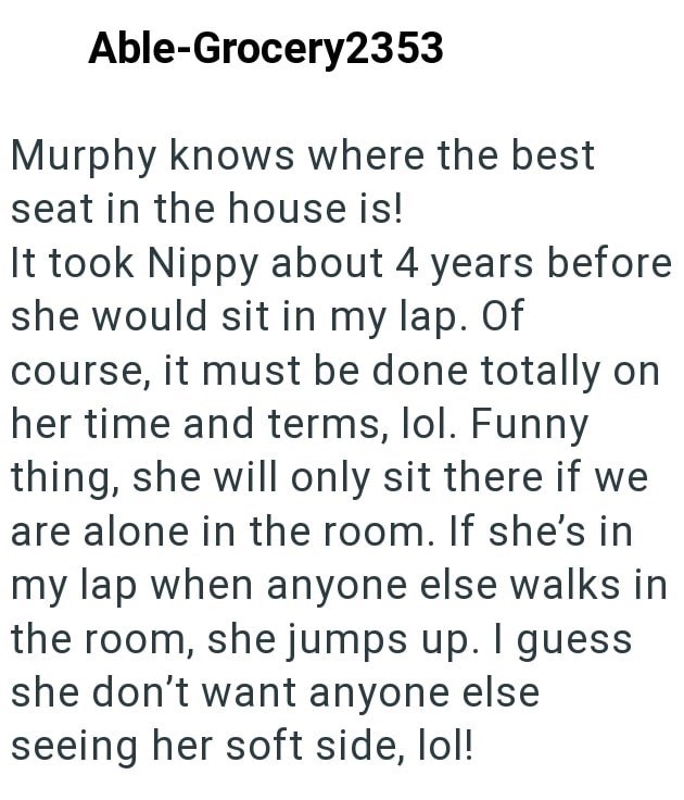 Able-Grocery2353 Murphy knows where the best seat in the house is! It took Nippy about 4 years before she would sit in my lap. Of course, it must be done totally on her time and terms, lol. Funny thing, she will only sit there if we are alone in the room. If she's in my lap when anyone else walks in the room, she jumps up. I guess she don't want anyone else seeing her soft side, lol!