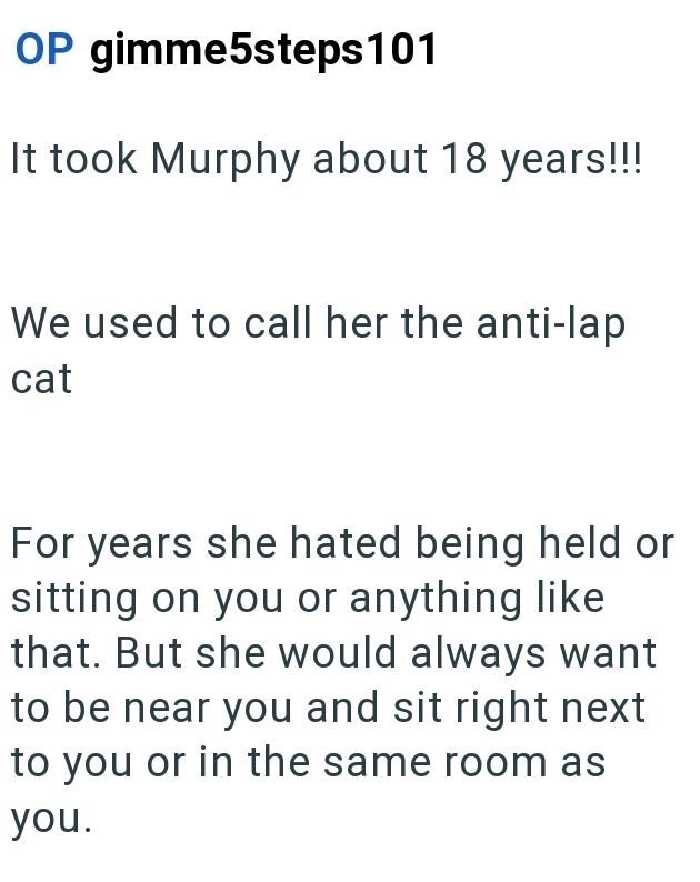 OP gimme5steps 101 It took Murphy about 18 years!!! We used to call her the anti-lap cat For years she hated being held or sitting on you or anything like that. But she would always want to be near you and sit right next to you or in the same room as you.