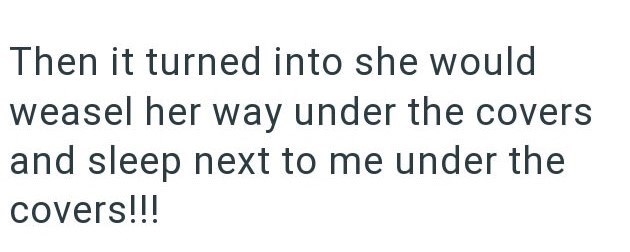 Then it turned into she would weasel her way under the covers and sleep next to me under the covers!!!