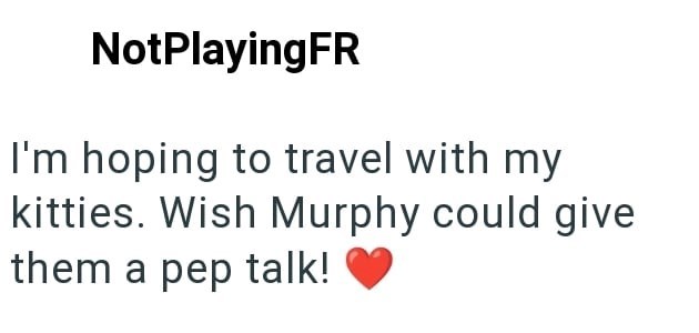 NotPlayingFR I'm hoping to travel with my kitties. Wish Murphy could give them a pep talk!