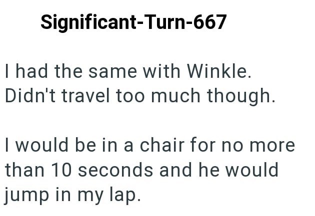 Significant-Turn-667 I had the same with Winkle. Didn't travel too much though. I would be in a chair for no more than 10 seconds and he would jump in my lap.