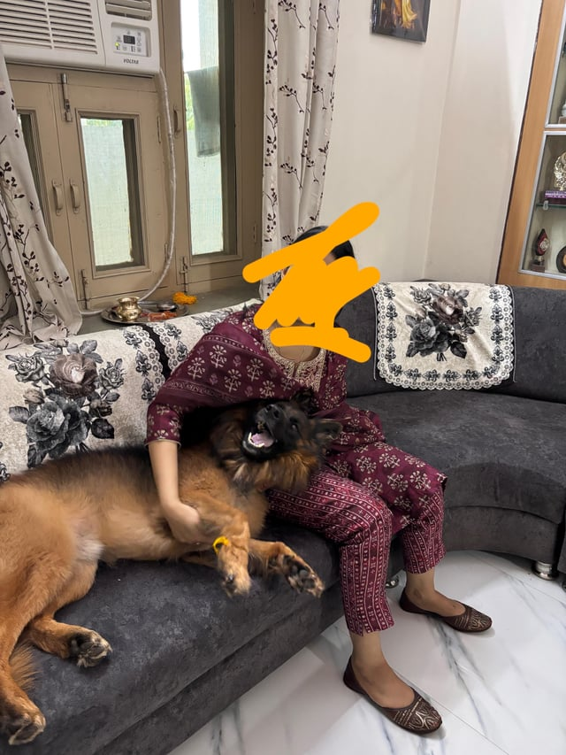 Cheezburger Image 10615532032