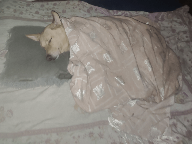 Cheezburger Image 10615532800