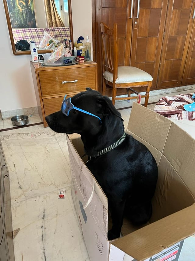 Cheezburger Image 10615533568