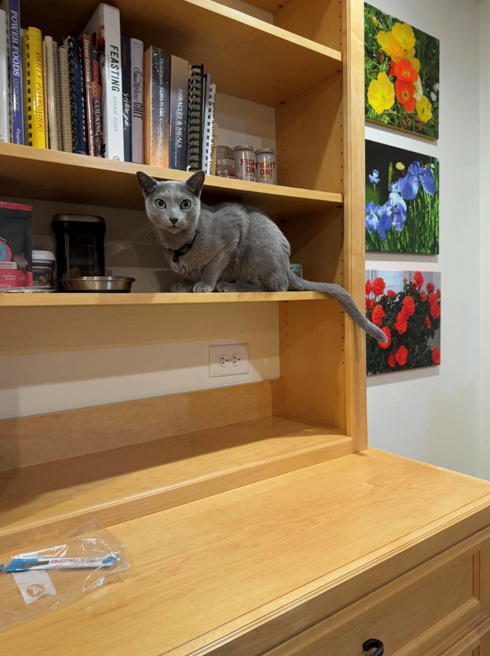 MIRACLES & MEALS Holocaust SURVIVOR COOKBOO Southern GRIT sister pic FEASTING AMANDA RUGEN CHUCH COOKING Denver Delicious PARTY POTPOURRI POWER FOODS COOKBOOK Пути COOK