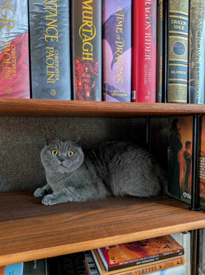 PHILIP C. QUAINTREEL RAGON RIDER MATHARU TIME OF DRAGONS MURTAGH CHRISTOPHER TANCE PAOLINI CHRISTOPHER NGROLIN John PHILIPC QUAINTRELL RTIN GERR IRON CROWN | LL MACRAE MUST TAKE THE PEACH BRITISH FANTASY SOCIETY JOURNAL ISSUE 24 BFS HORIZONS '17 DS&LATTES BALORE TRAVIS A TREASURY OF BRITISH FOLKLORE