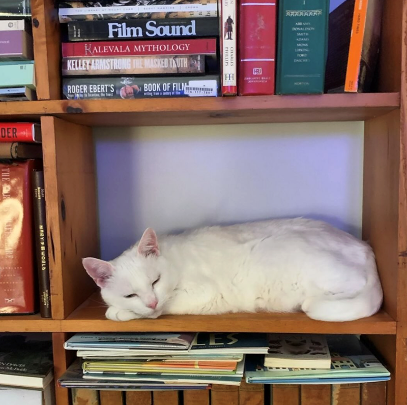 Film Sound KALEVALA MYTHOLOGY KELLEY ARMSTRONG THE MASKED TRUTH ROGER EBERT'S han 1 ts antis, the fest he BOOK OF FILM..! writing from a century of m -TA-117-789 N LRY PHILLIPS CHARLES HH DER THE RIN STATT Bossons MARY MARY'S WORLD NDAVIS McBride El ABRAMS DONALDSON SMITH ADAMY MONK LIPKING FORD DAICHE BALE NORTON HARD TIMES LES