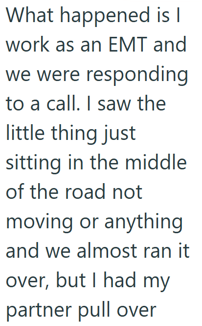What happened is I work as an EMT and we were responding to a call. I saw the little thing just sitting in the middle of the road not moving or anything and we almost ran it over, but I had my partner pull over