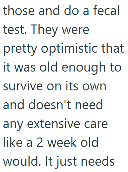 those and do a fecal test. They were pretty optimistic that it was old enough to survive on its own and doesn't need any extensive care like a 2 week old would. It just needs