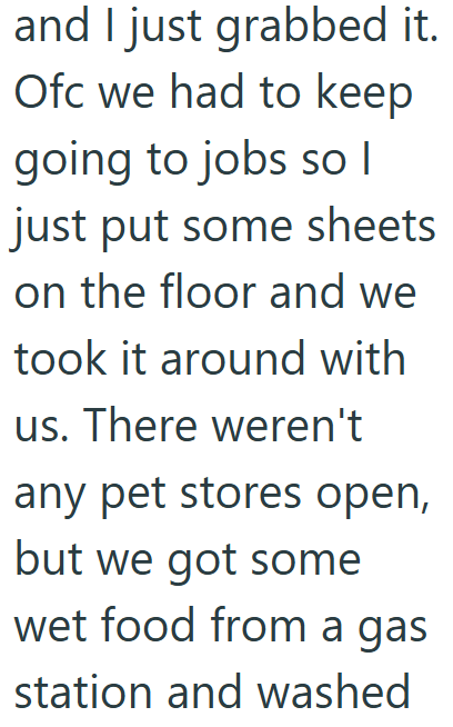 and I just grabbed it. Ofc we had to keep going to jobs so I just put some sheets on the floor and we took it around with us. There weren't any pet stores open, but we got some wet food from a gas station and washed