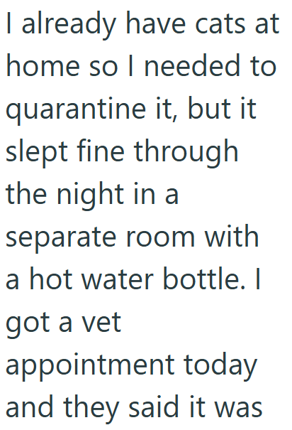 I already have cats at home so I needed to quarantine it, but it slept fine through the night in a separate room with a hot water bottle. I got a vet appointment today and they said it was