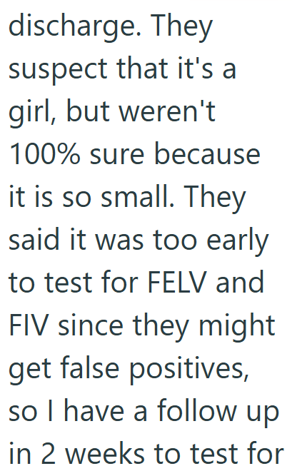 discharge. They suspect that it's a girl, but weren't 100% sure because it is so small. They said it was too early to test for FELV and FIV since they might get false positives, so I have a follow up in 2 weeks to test for