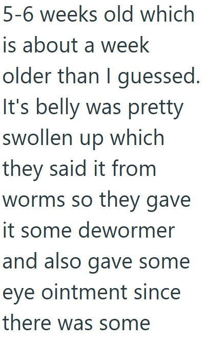 5-6 weeks old which is about a week older than I guessed. It's belly was pretty swollen up which they said it from worms so they gave it some dewormer and also gave some eye ointment since there was some