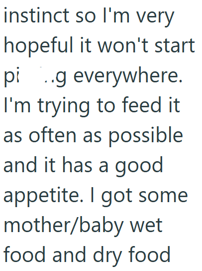 instinct so I'm very hopeful it won't start pig everywhere. I'm trying to feed it as often as possible and it has a good appetite. I got some mother/baby wet food and dry food