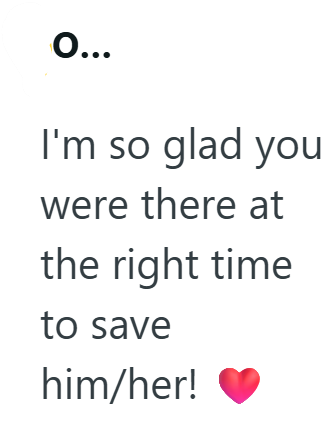 O... I'm so glad you were there at the right time to save him/her!