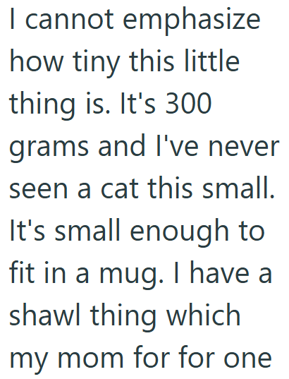 I cannot emphasize how tiny this little thing is. It's 300 grams and I've never seen a cat this small. It's small enough to fit in a mug. I have a shawl thing which my mom for for one
