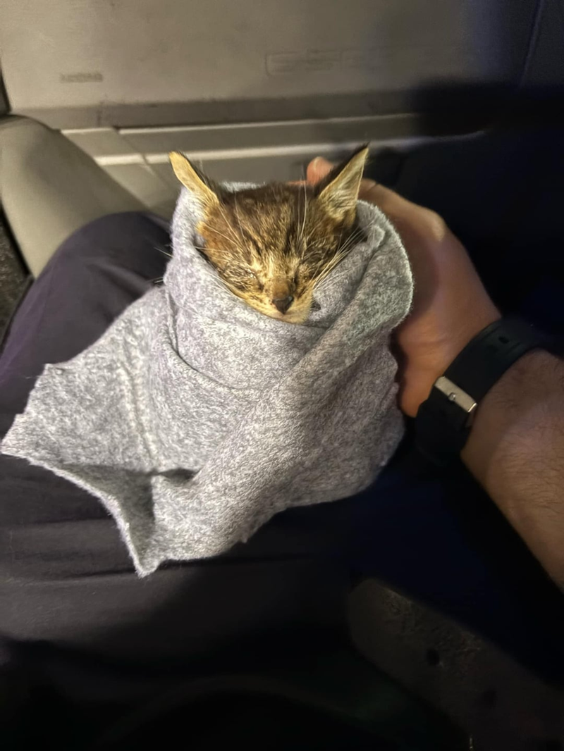 Cheezburger Image 10615541760