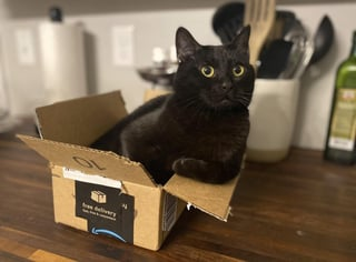 Cheezburger Image 10615543040