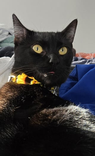 Cheezburger Image 10615544832