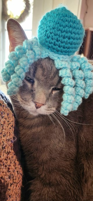 Cheezburger Image 10615545088