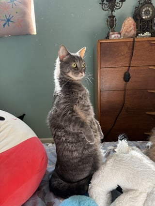 Cheezburger Image 10615547392