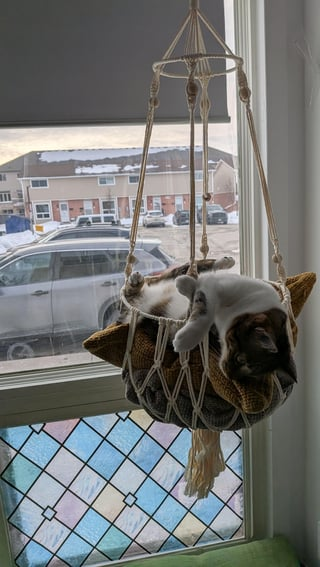 Cheezburger Image 10615548160