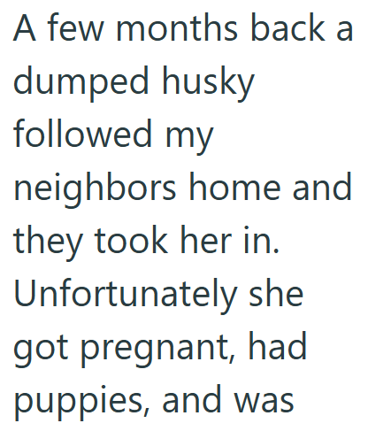 A few months back a dumped husky followed my neighbors home and they took her in. Unfortunately she got pregnant, had puppies, and was