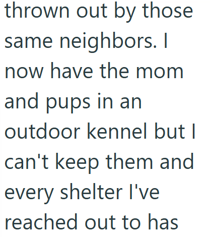 thrown out by those same neighbors. I now have the mom and pups in an outdoor kennel but I can't keep them and every shelter I've reached out to has