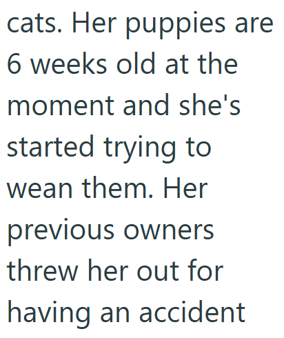 cats. Her puppies are 6 weeks old at the moment and she's started trying to wean them. Her previous owners threw her out for having an accident