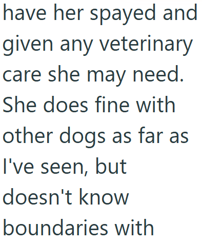 have her spayed and given any veterinary care she may need. She does fine with other dogs as far as I've seen, but doesn't know boundaries with