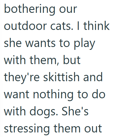 bothering our outdoor cats. I think she wants to play with them, but they're skittish and want nothing to do with dogs. She's stressing them out