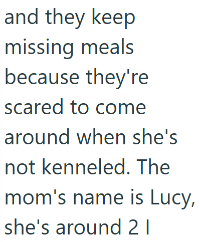 and they keep missing meals because they're scared to come around when she's not kenneled. The mom's name is Lucy, she's around 21
