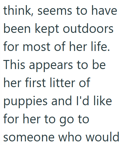think, seems to have been kept outdoors for most of her life. This appears to be her first litter of puppies and I'd like for her to go to someone who would