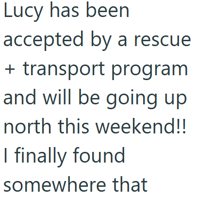 Lucy has been accepted by a rescue + transport program and will be going up north this weekend!! I finally found somewhere that