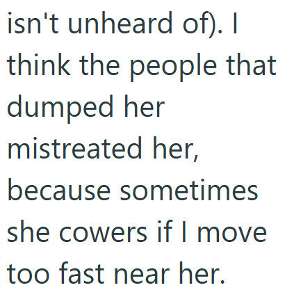 isn't unheard of). I think the people that dumped her mistreated her, because sometimes she cowers if I move too fast near her.