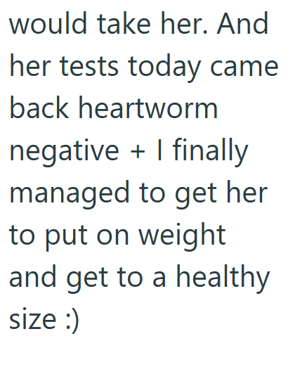 would take her. And her tests today came back heartworm negative + I finally managed to get her to put on weight and get to a healthy size :)