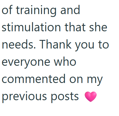 of training and stimulation that she needs. Thank you to everyone who commented on my previous posts