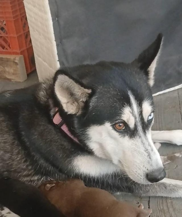 Cheezburger Image 10615552768