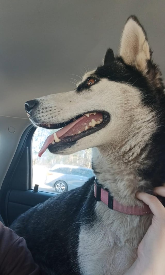 Cheezburger Image 10615553280