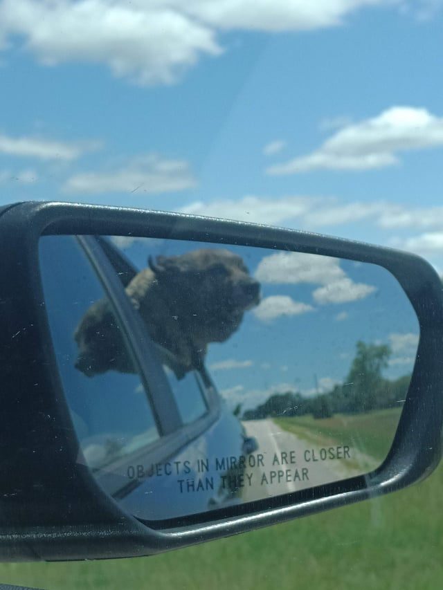 OBJECTS IN MIRROR ARE CLOSER THAN THEY APPEAR
