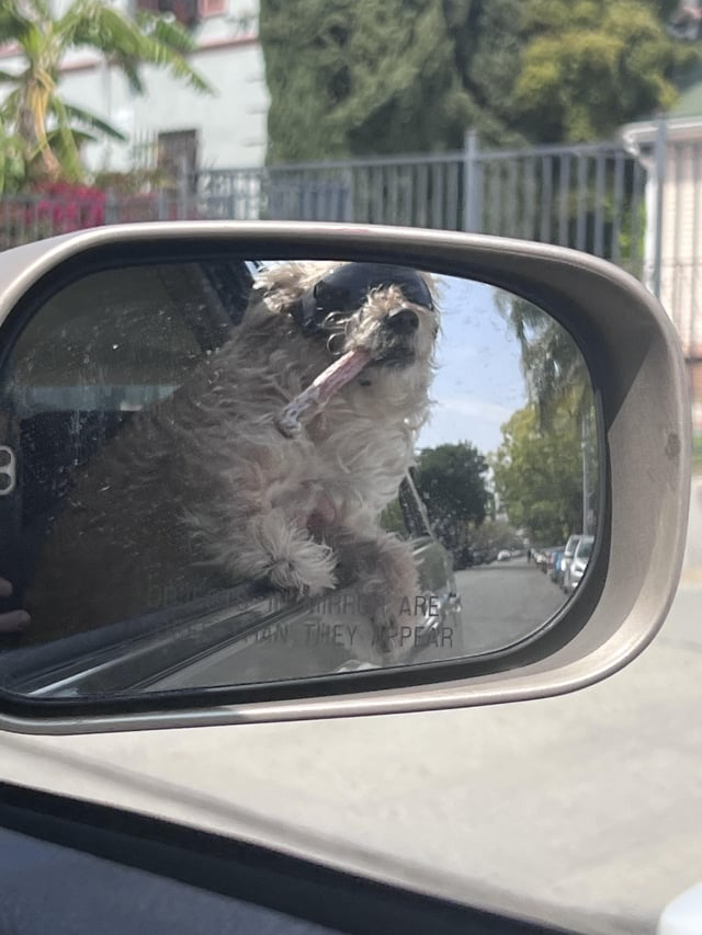 IRRO ARE AN THEY PEAR