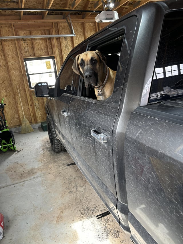 Cheezburger Image 10615555840