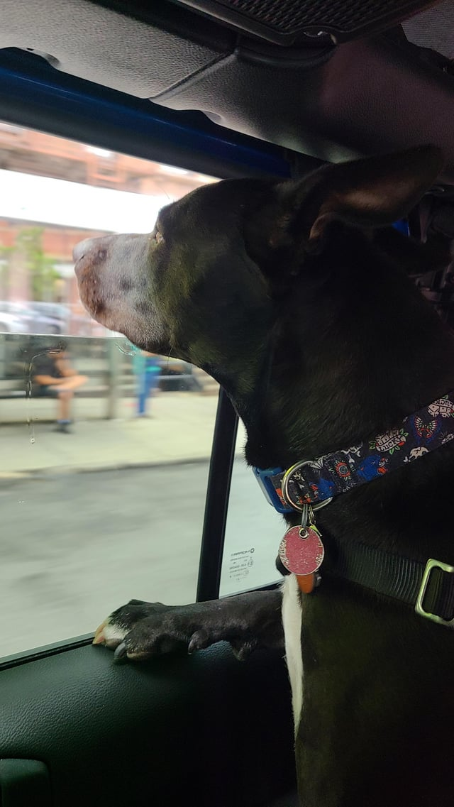 Cheezburger Image 10615556352