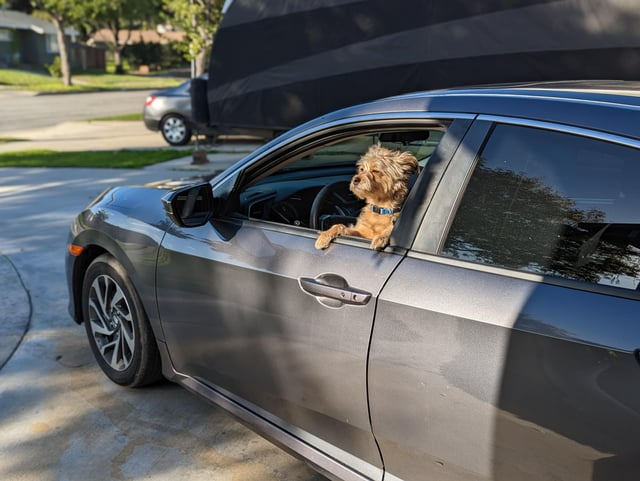 Cheezburger Image 10615556608