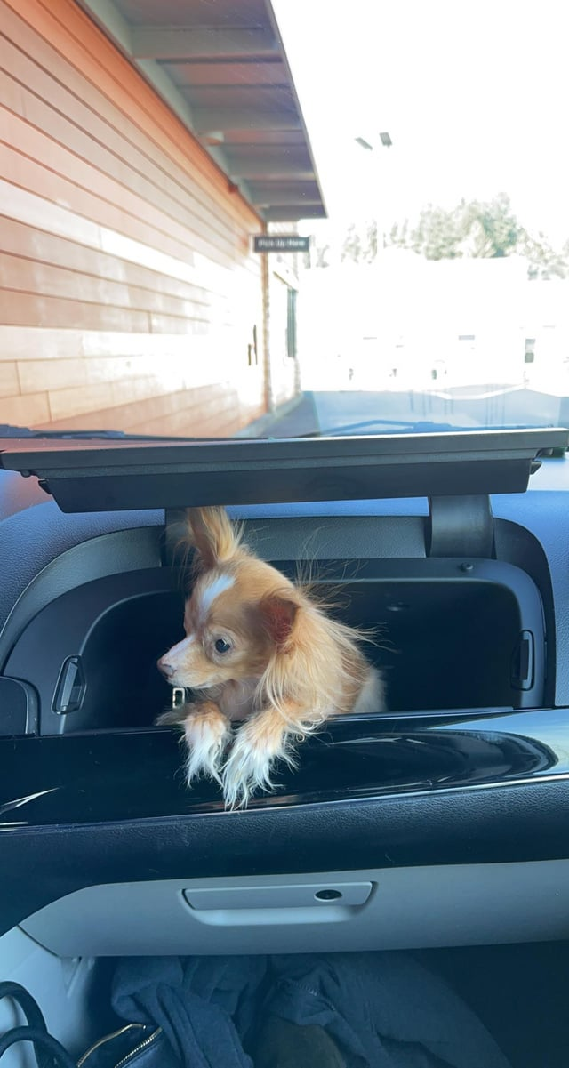 Cheezburger Image 10615556864