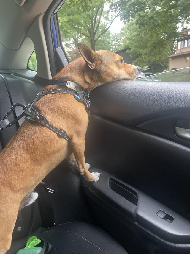 Cheezburger Image 10615557376