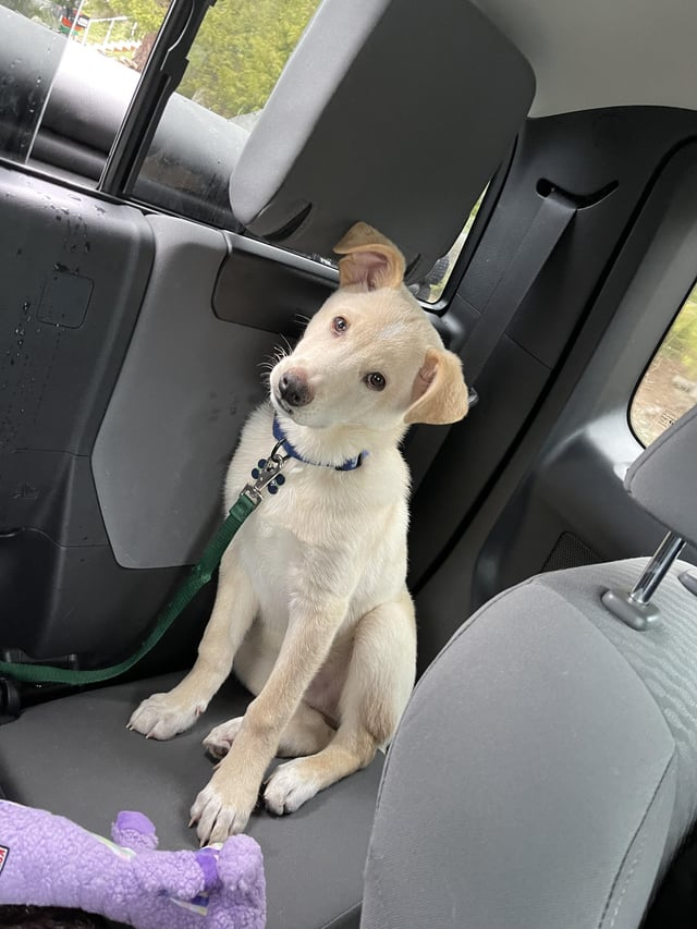 Cheezburger Image 10615557632